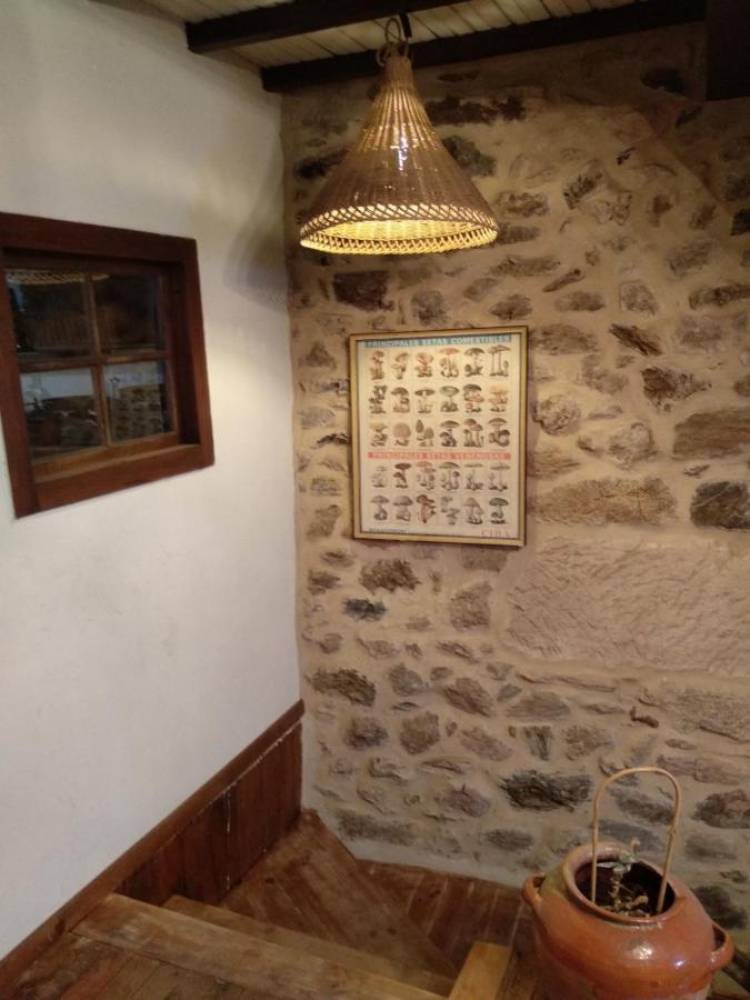 Casa Ribeira Sacra, Ourense, Ninodaguia, Galicia Εξωτερικό φωτογραφία